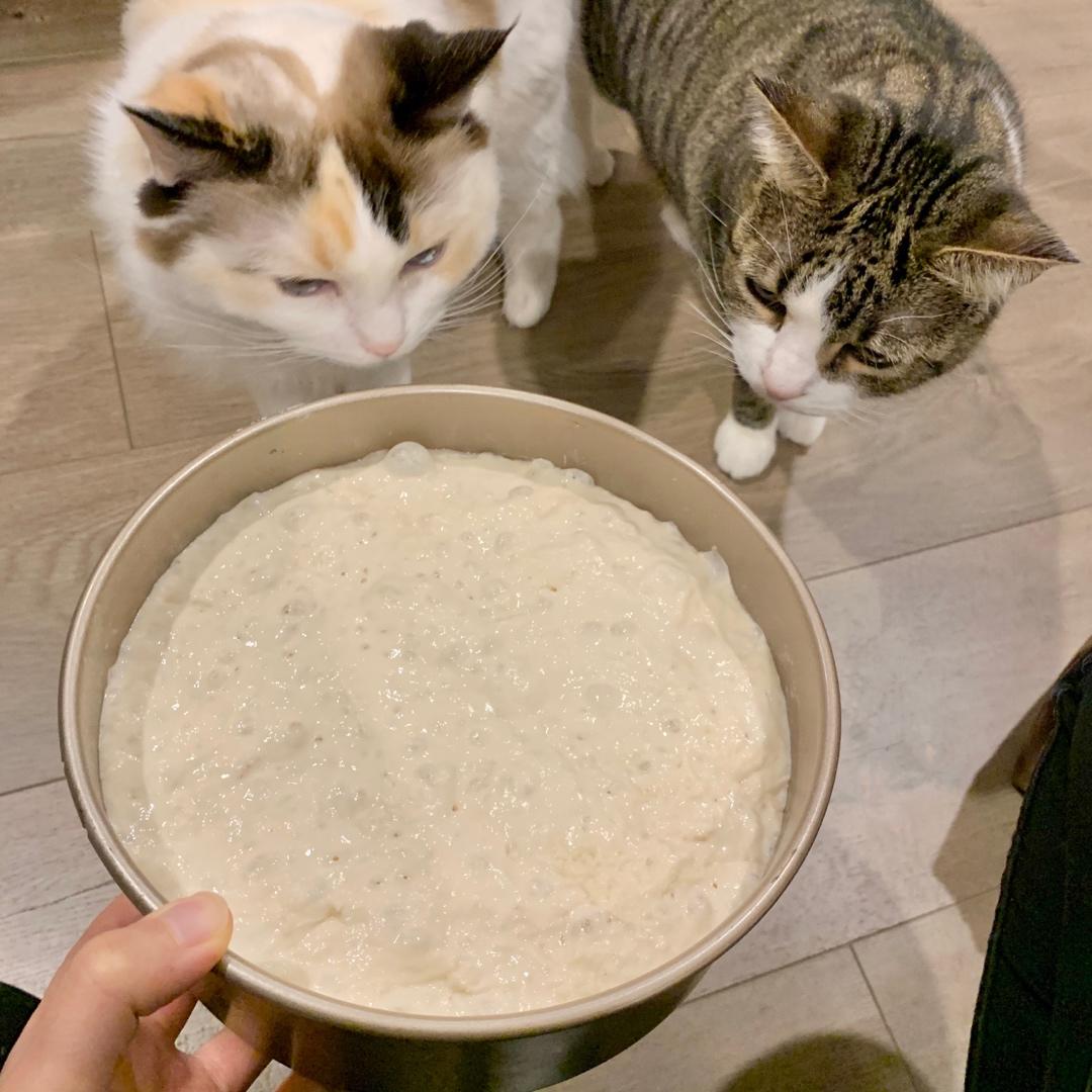 欧包的秘密（免揉/大孔洞/核桃/超简单）