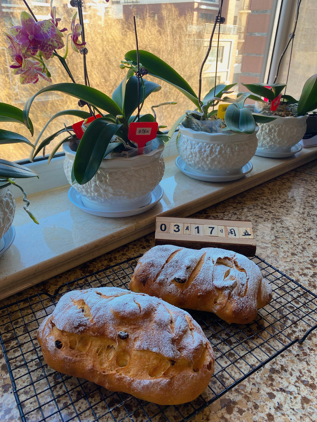 德国婆婆秘方·只多一料·香得上天的全麦核桃蔓越欧包