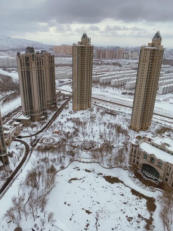 Flower Language·花の语