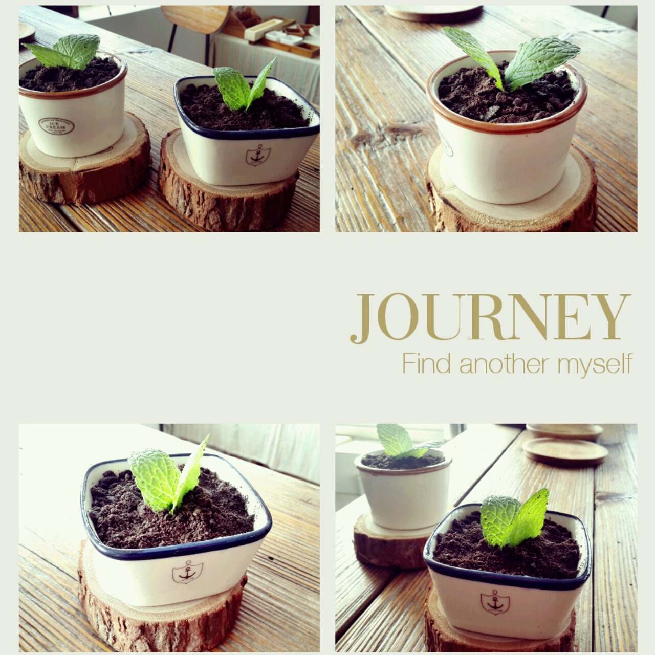 酸奶盆栽/继续延续小清新风/治愈系甜品