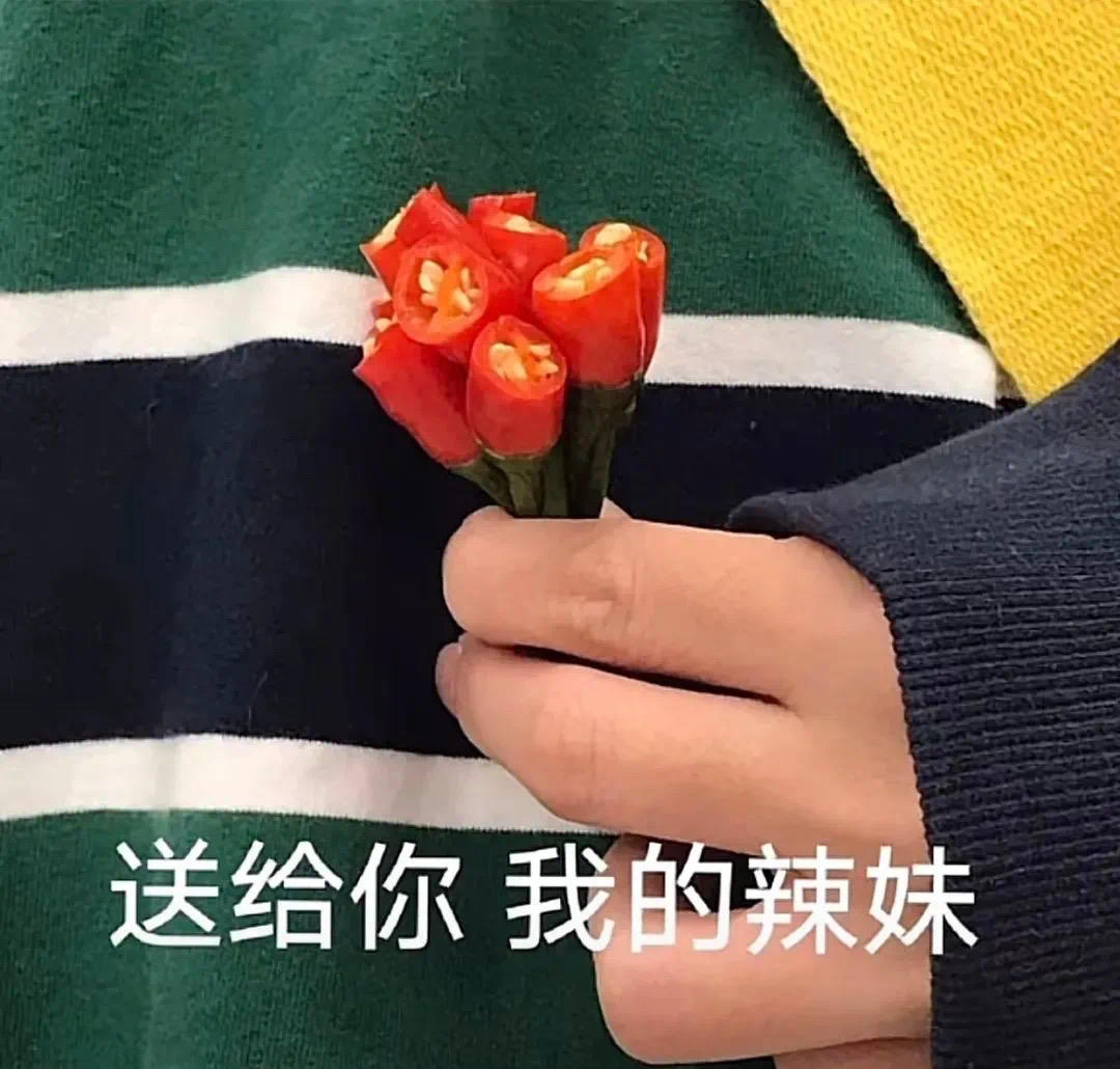 大凸PP