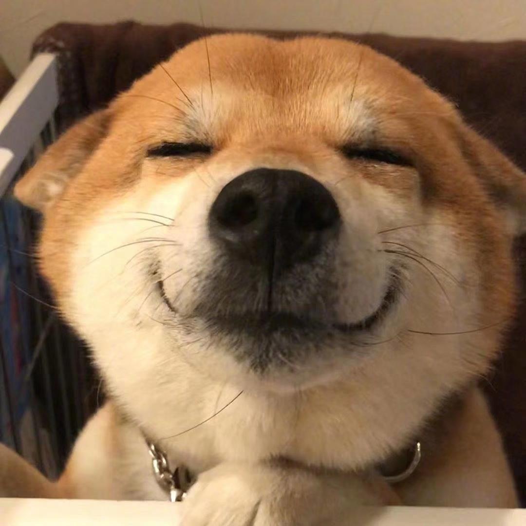 想学做饭的狗子
