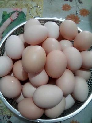 自制咸鸡蛋的做法 步骤2