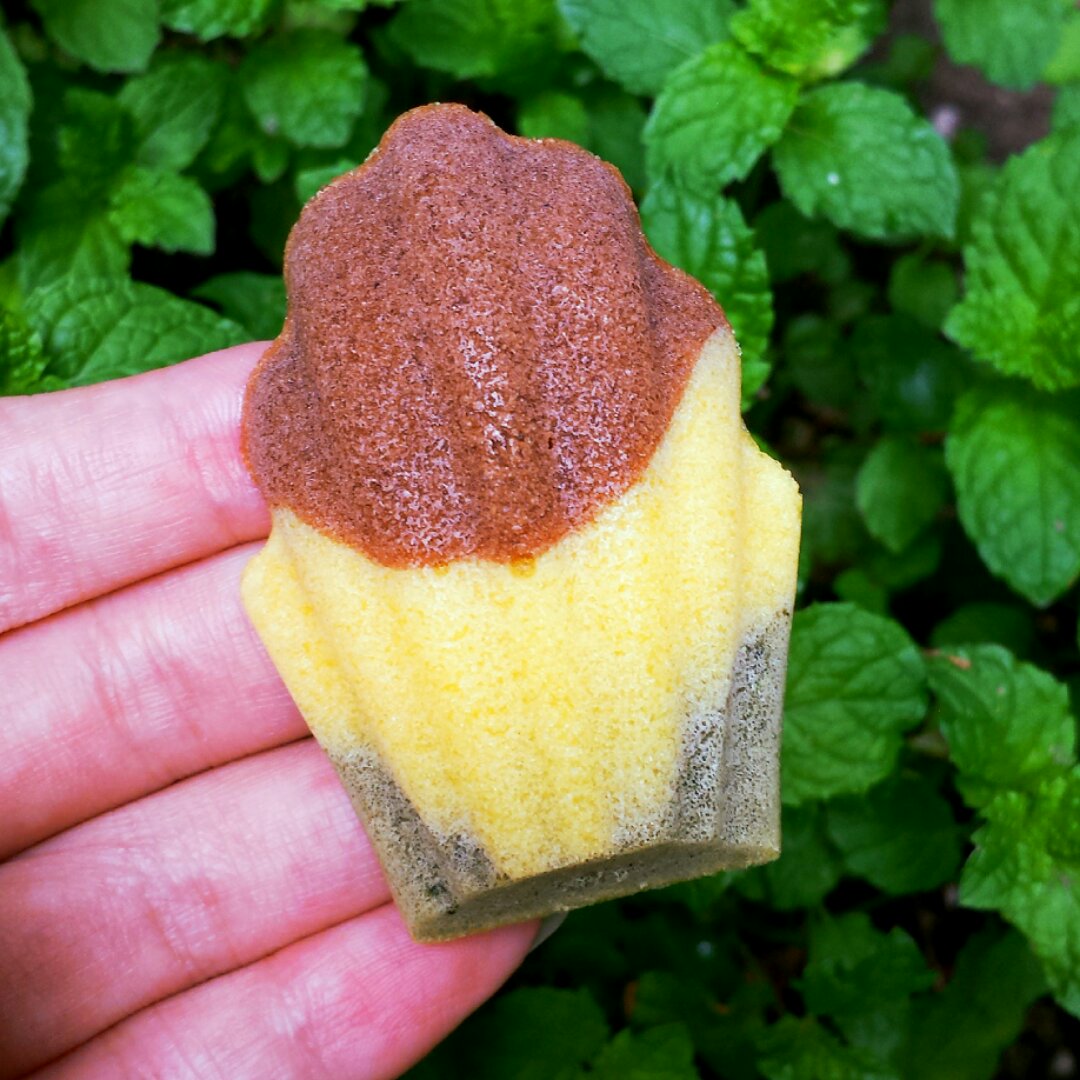 三色玛德琳——脆脆交通灯