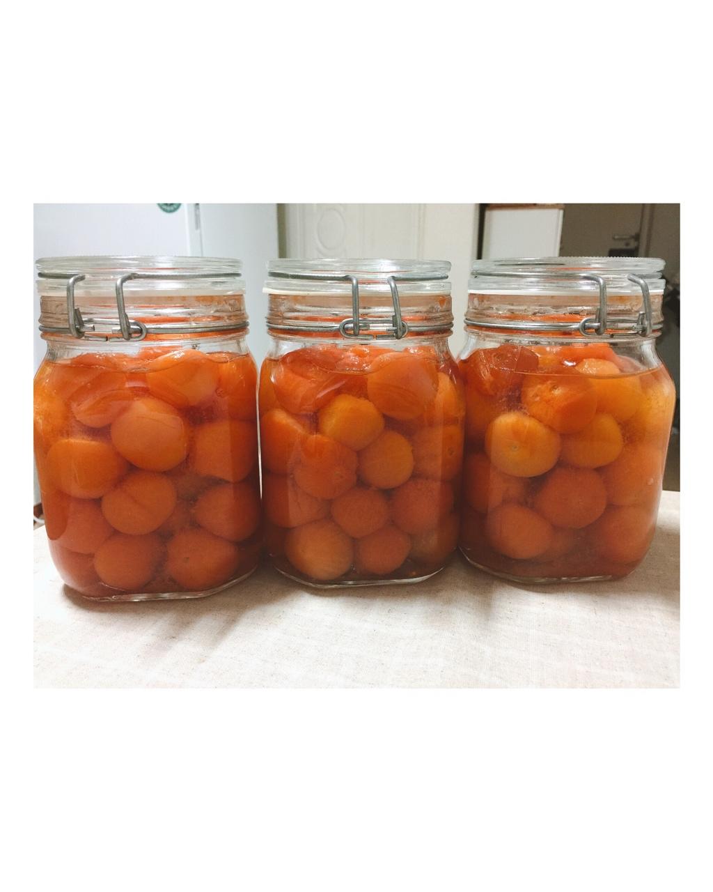 《小森林》· 番茄罐头