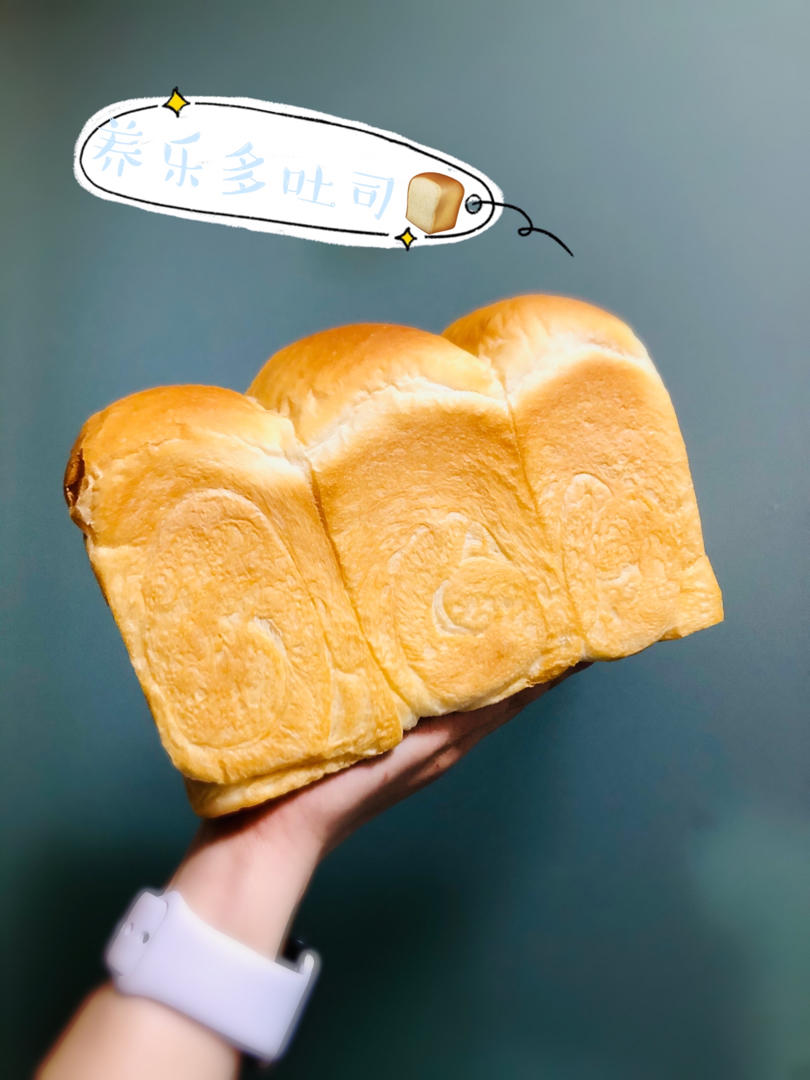 轻食吐司