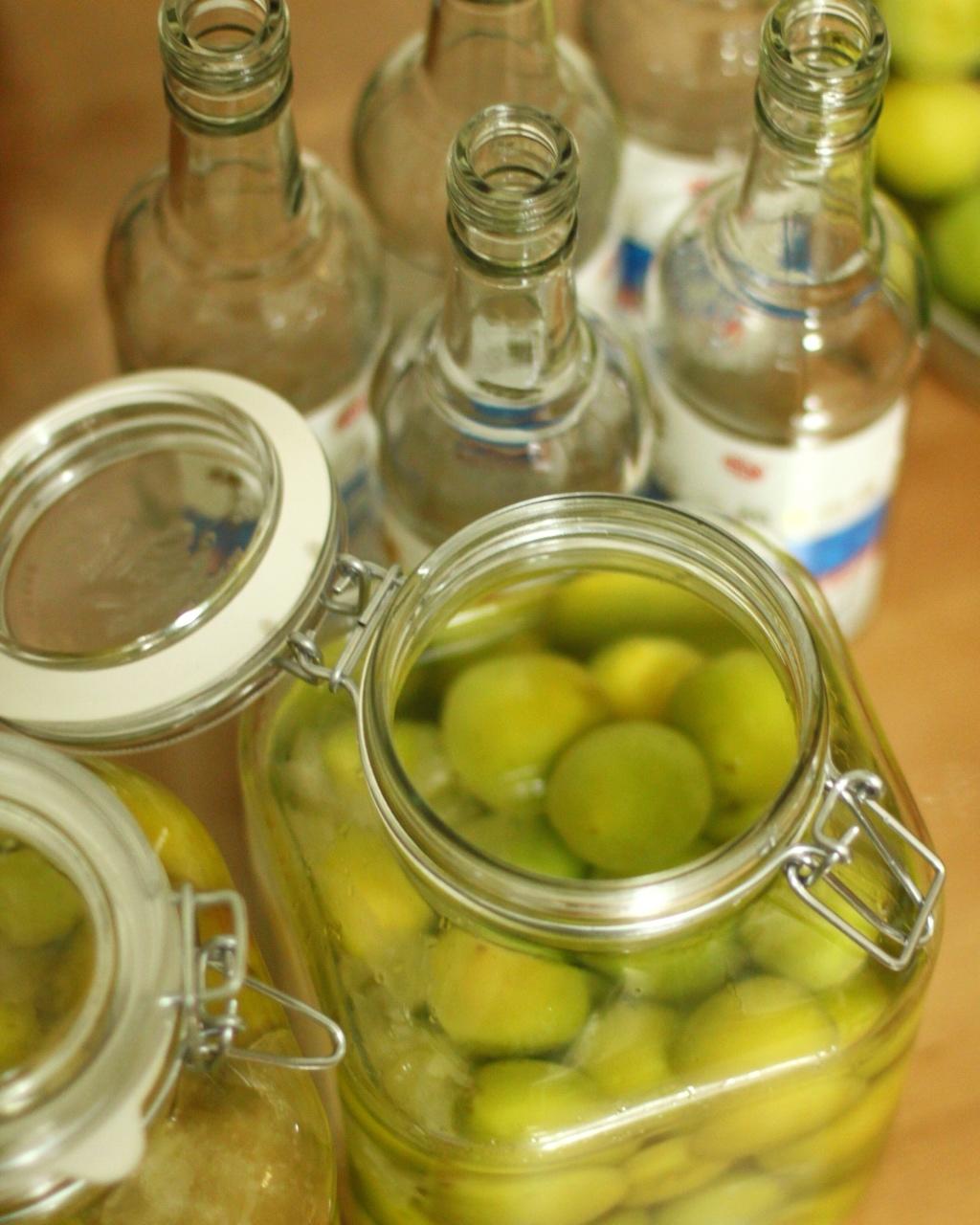 面包加勺糖做的酿青梅酒