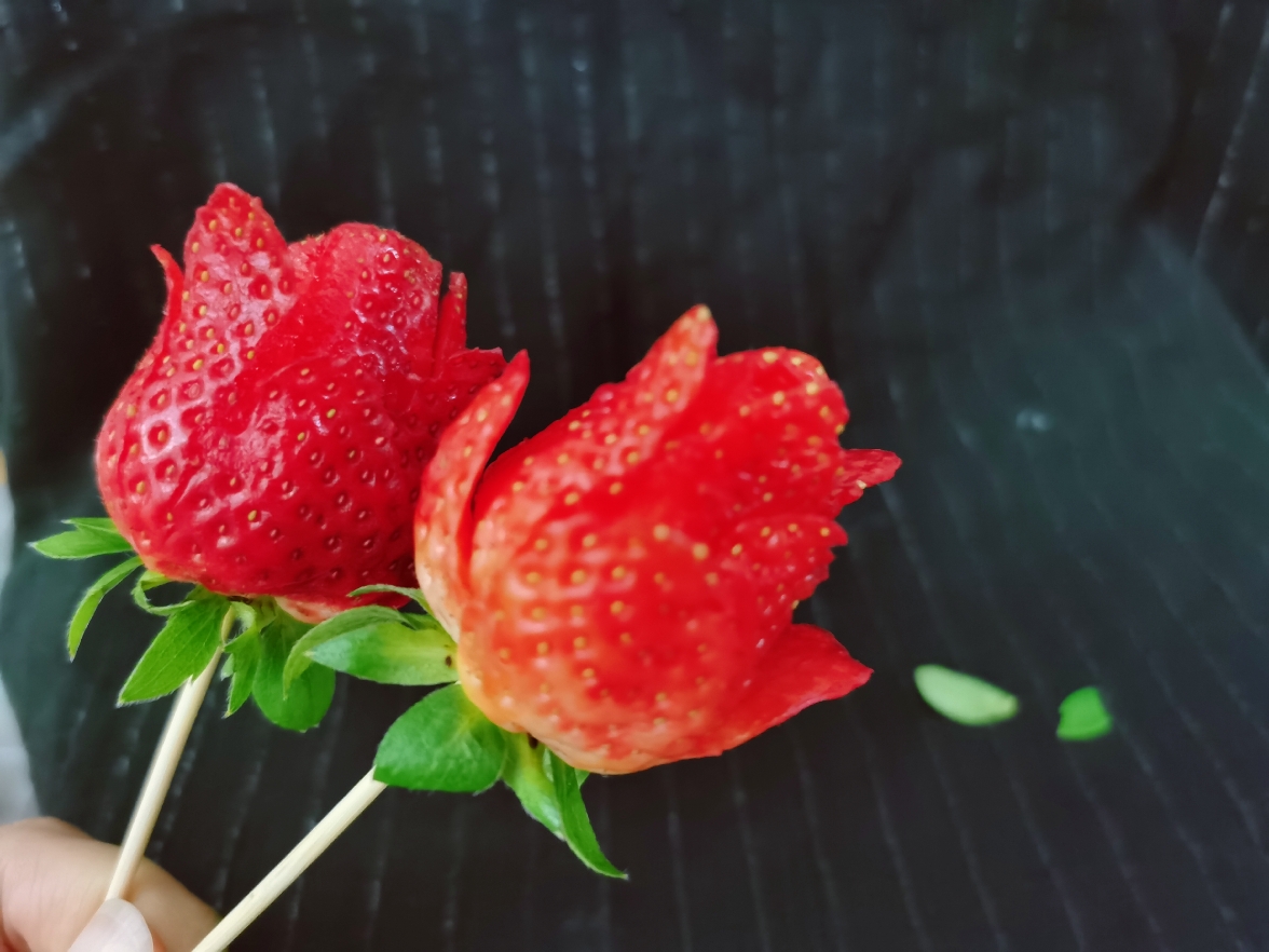 草莓玫瑰花+草莓糖葫芦