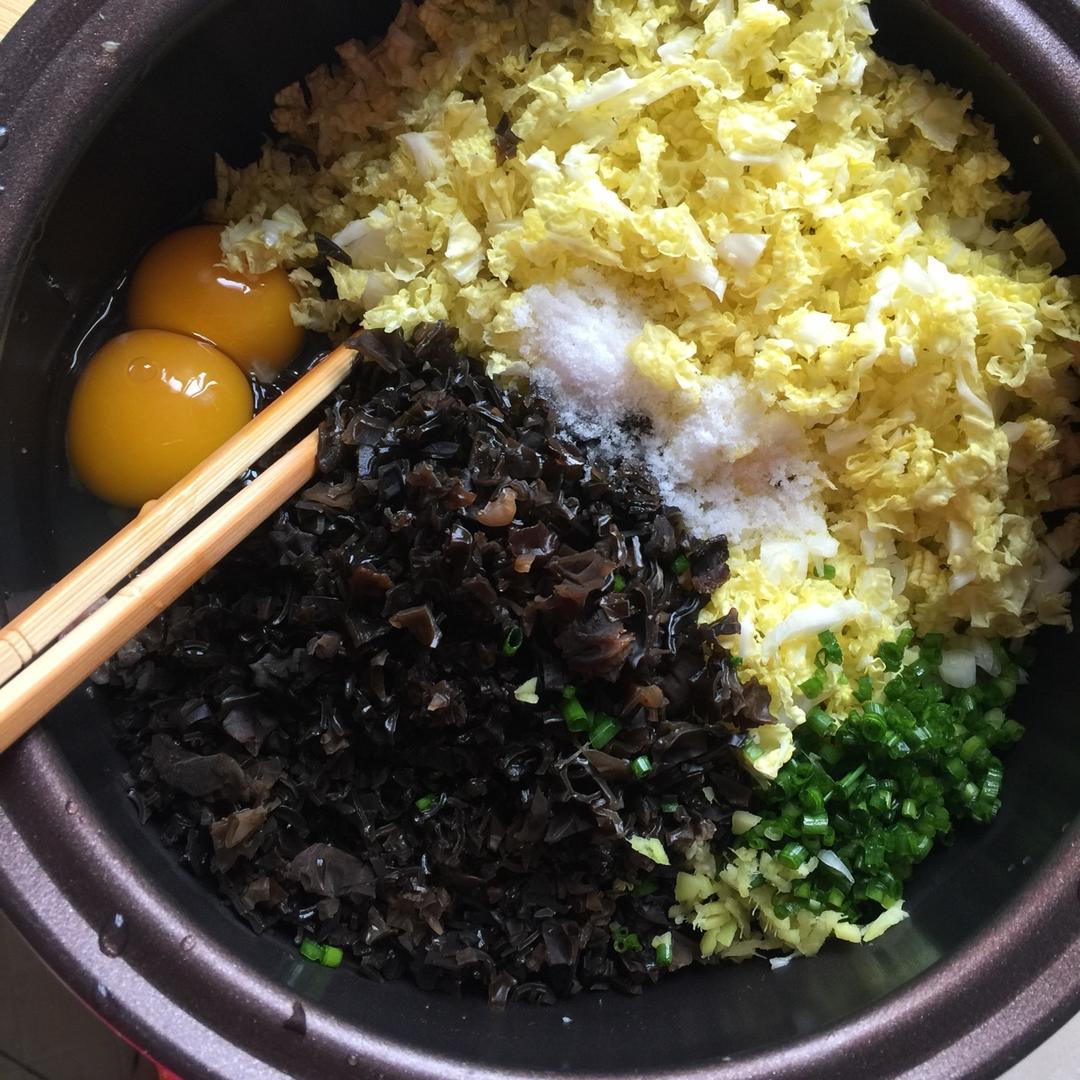 白菜鲜肉水饺