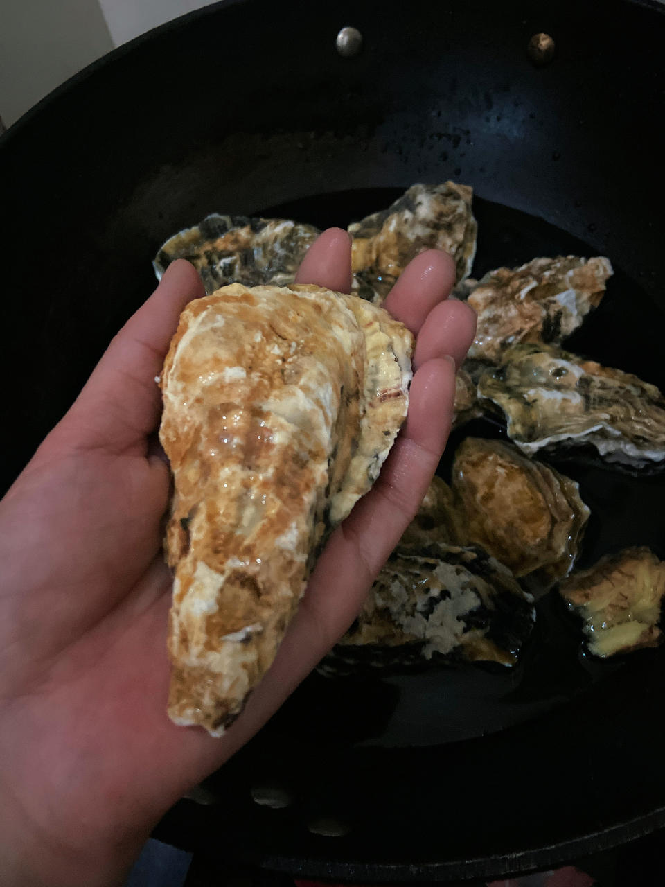 至鲜至嫩烤生蚝🦪(附：省力开蚝方法）