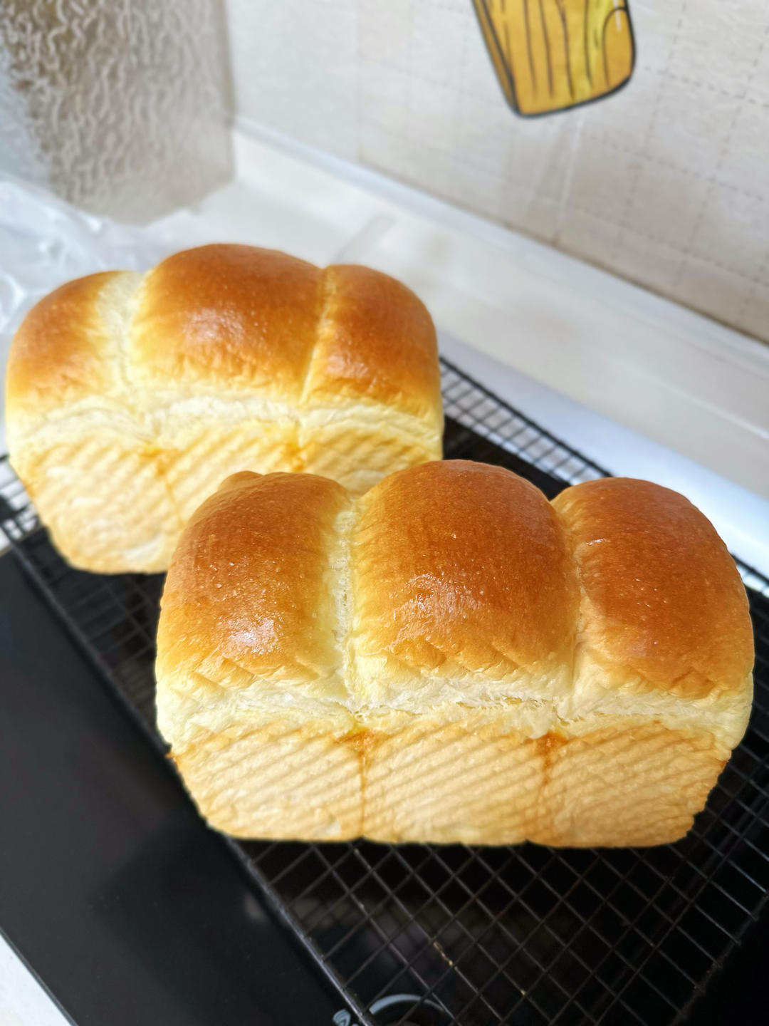 波兰种一发吐司