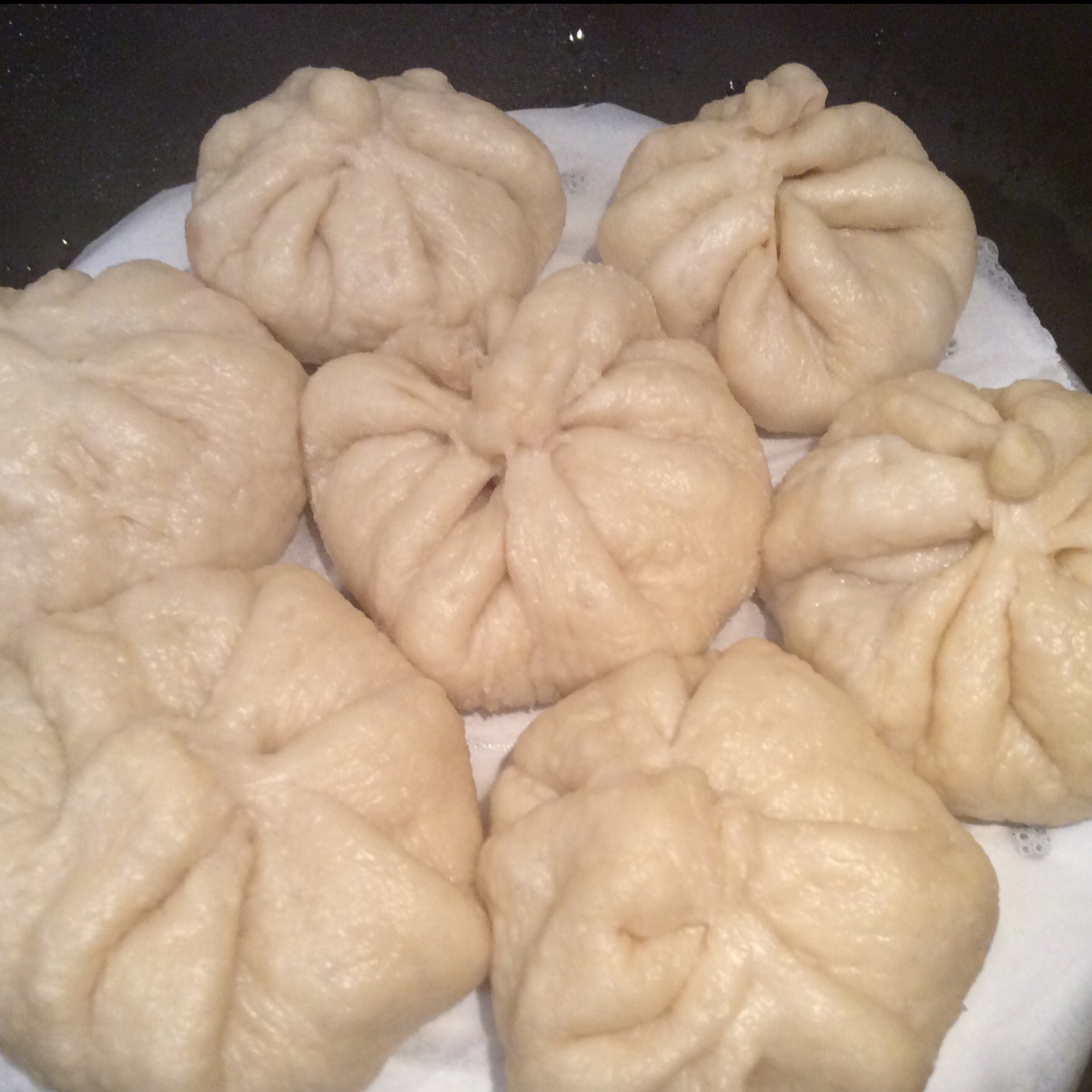 堂妈教你山菜鲜肉大包子
