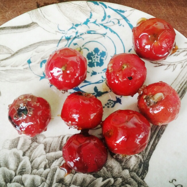 冰糖葫芦（内含视频）