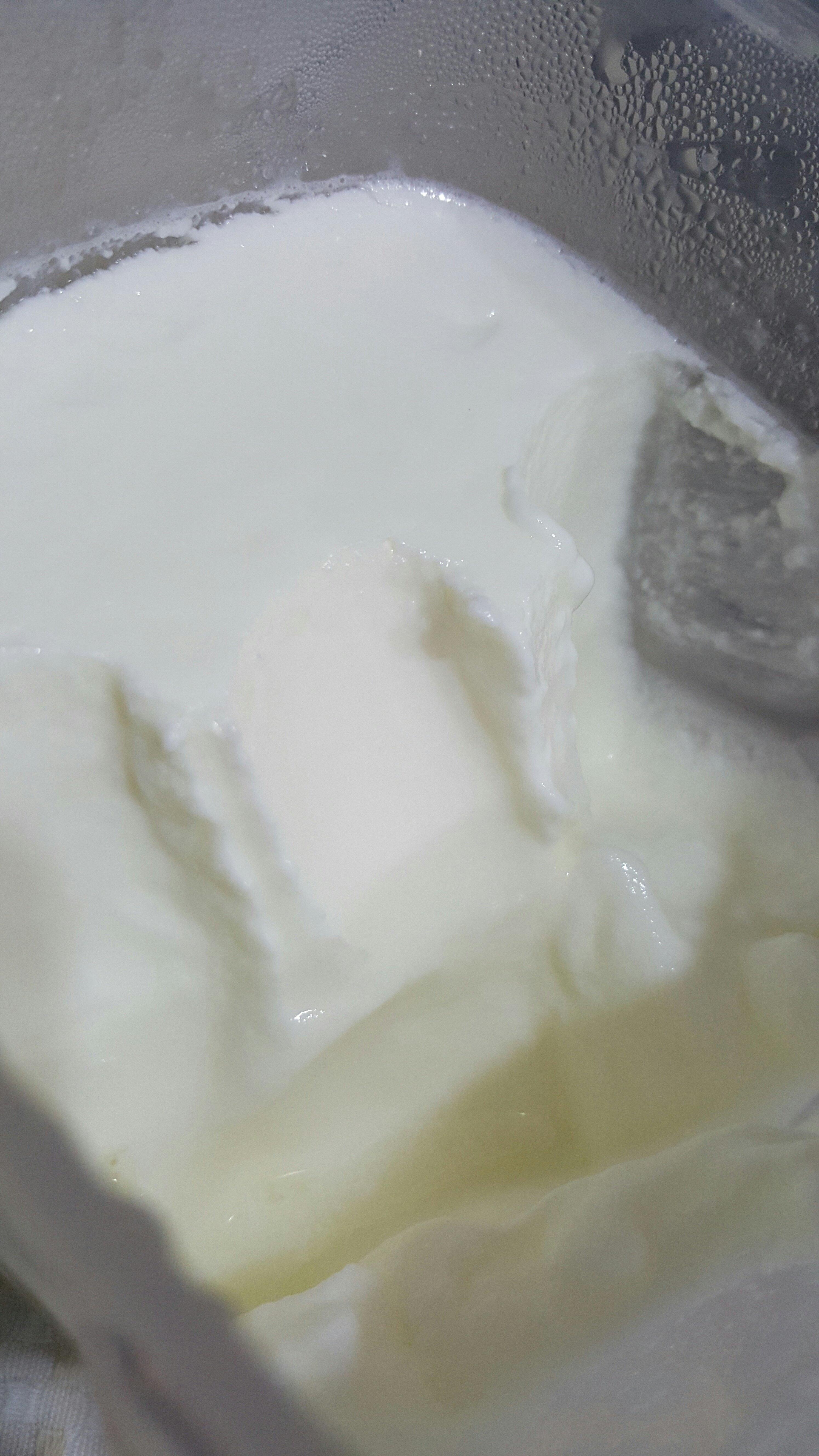 面包机版酸奶的做法 步骤4