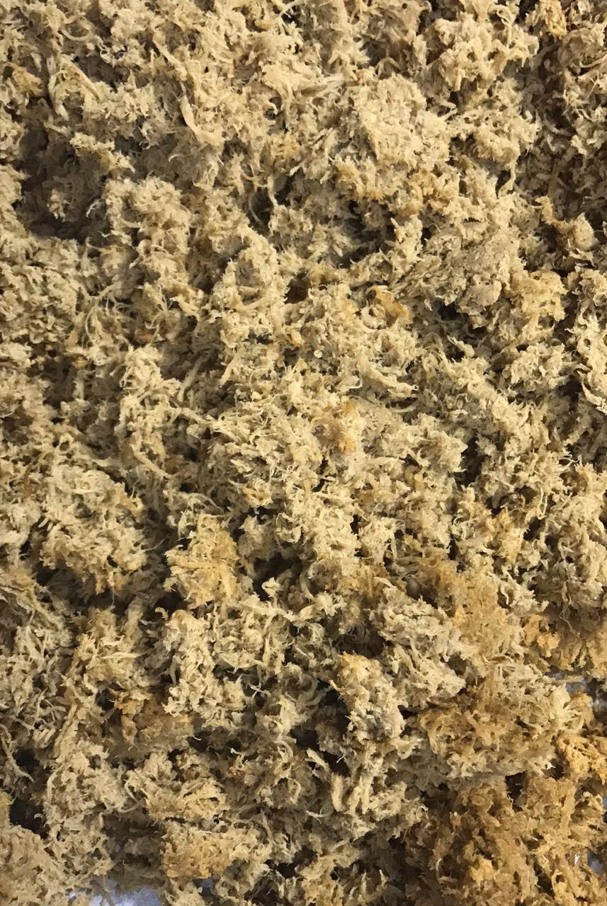 面包机做猪肉松