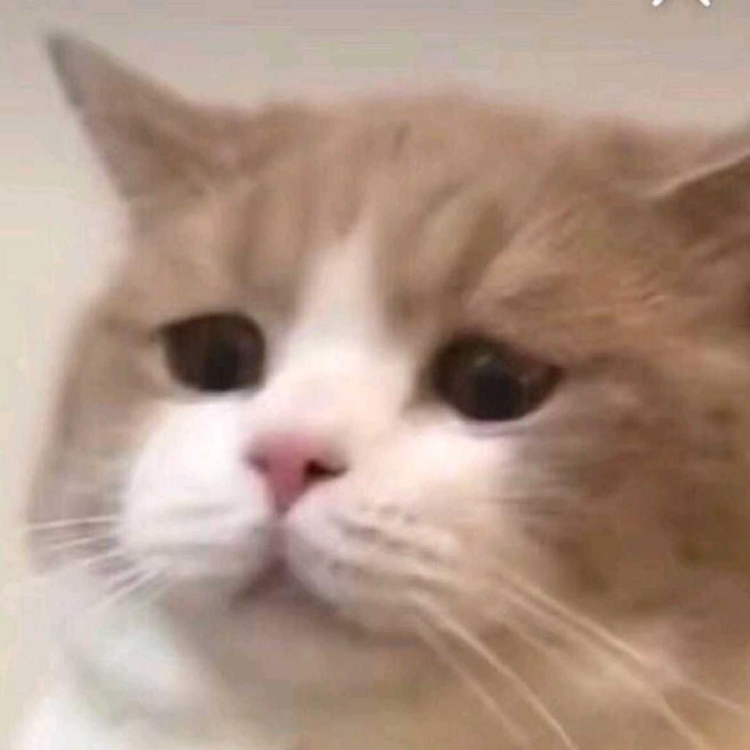 哀哀打璇
