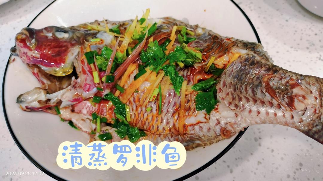 清蒸罗非鱼，人人都能学会的一道菜
