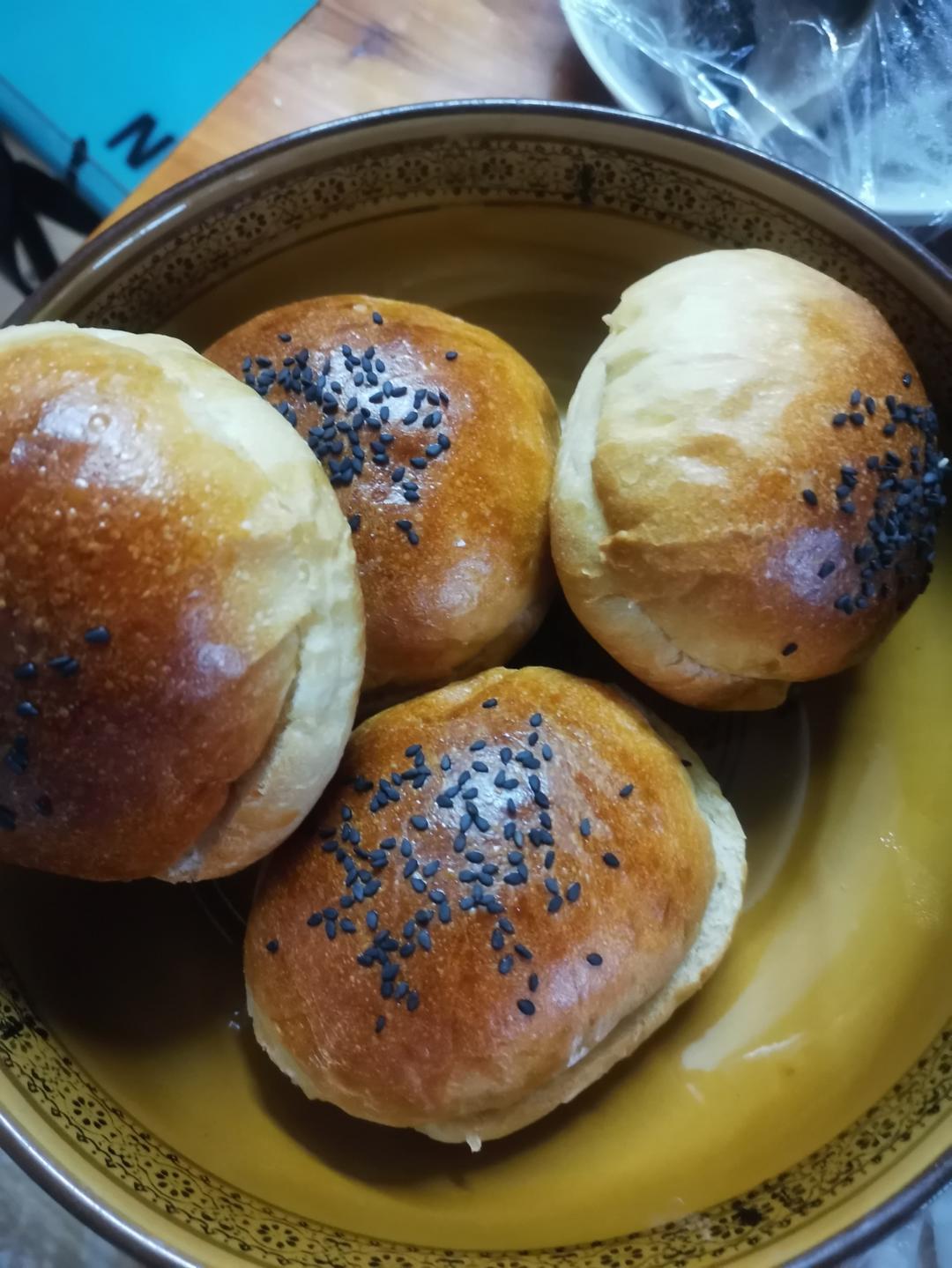 汉堡胚（波兰种）