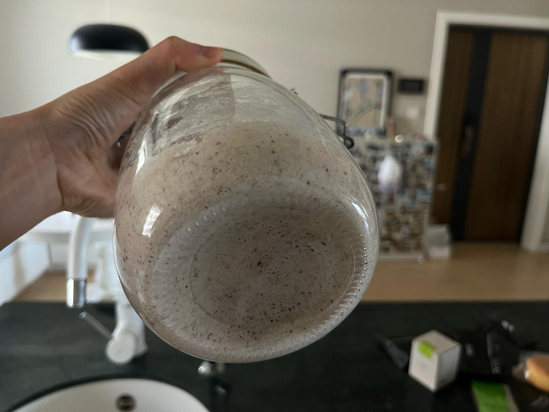 天然酵种、鲁邦种         （黑裸麦起种）
