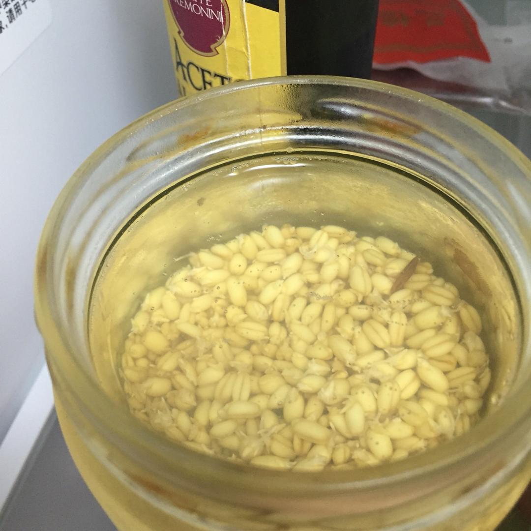 Rejuvelac发芽谷物益生菌水丨发酵·饮品