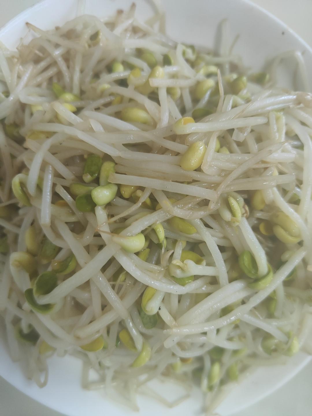 清炒豆芽