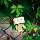 是也许飞呀的厨房