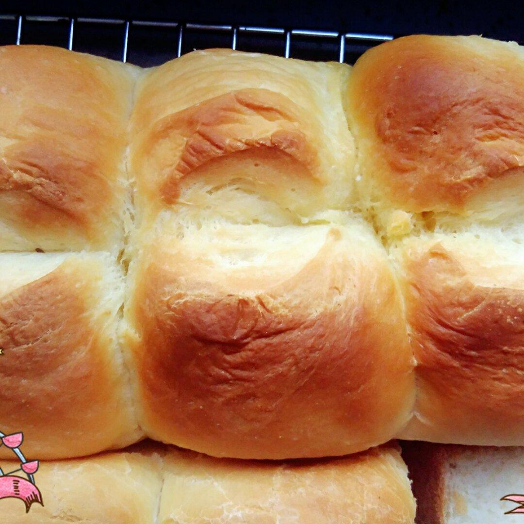 晚餐•2016年11月15日