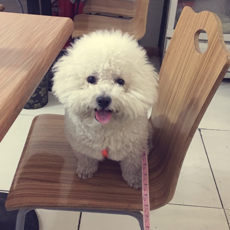 手机用户6532_hxe0