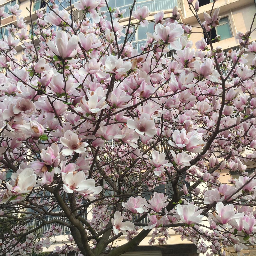 爱烘焙的在珉控