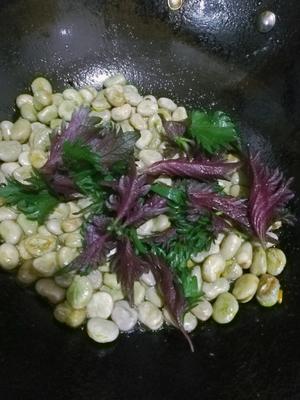 紫苏炒胡豆的做法 步骤3