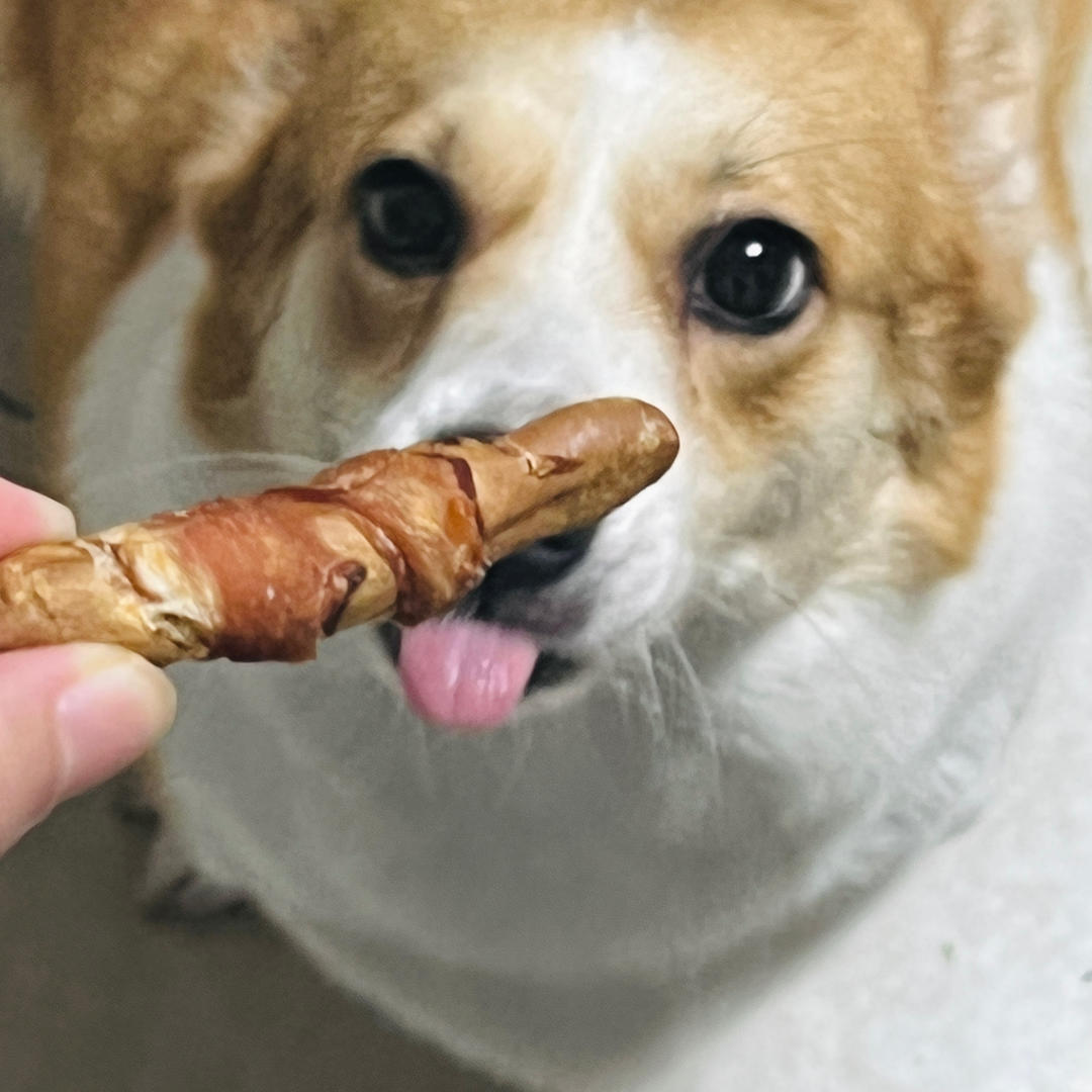 自制无添加剂狗狗磨牙棒宠物零食