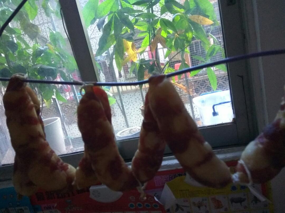 自制广味腊肠