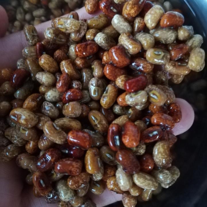 广东靓汤--淮山薏米猪骨祛湿汤