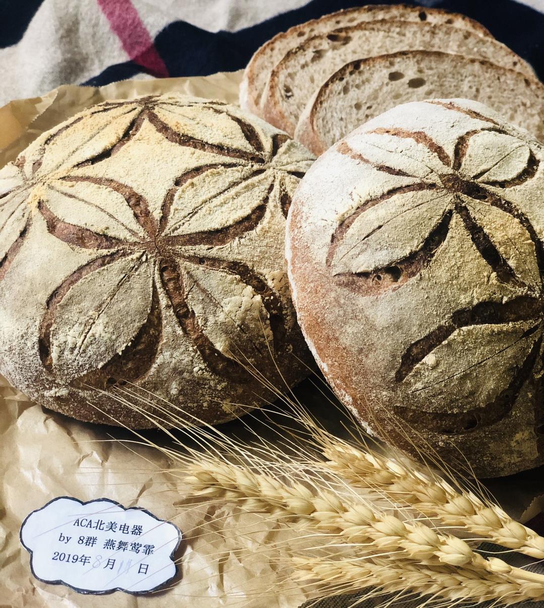 欧包/乡村面包-无油不用揉 No Knead Bread