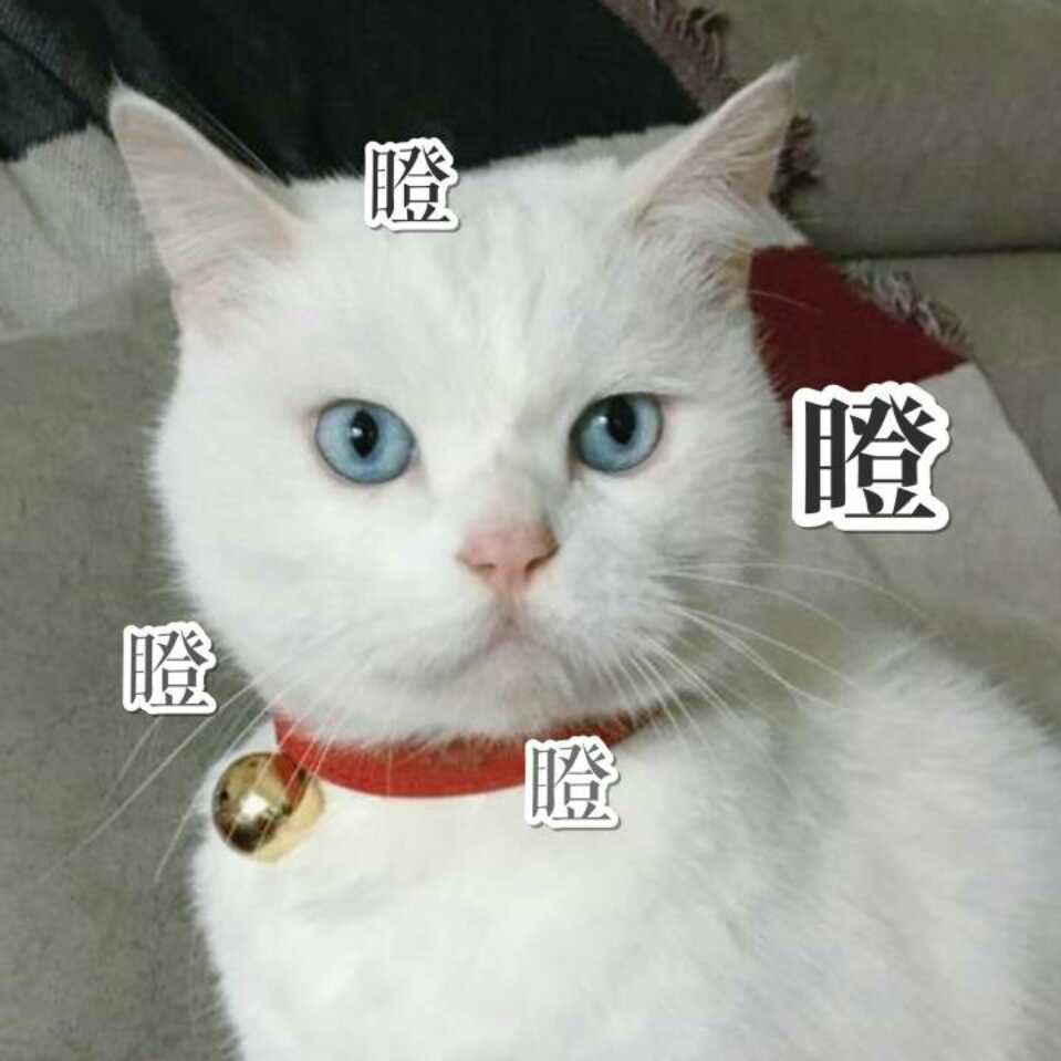 可乐可口哼哼