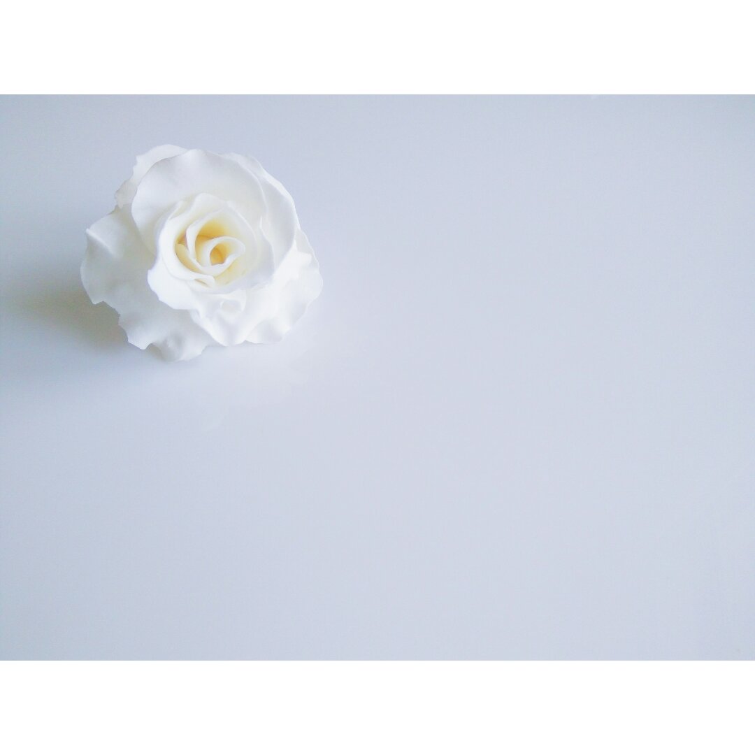 翻糖月季花（玫瑰花）