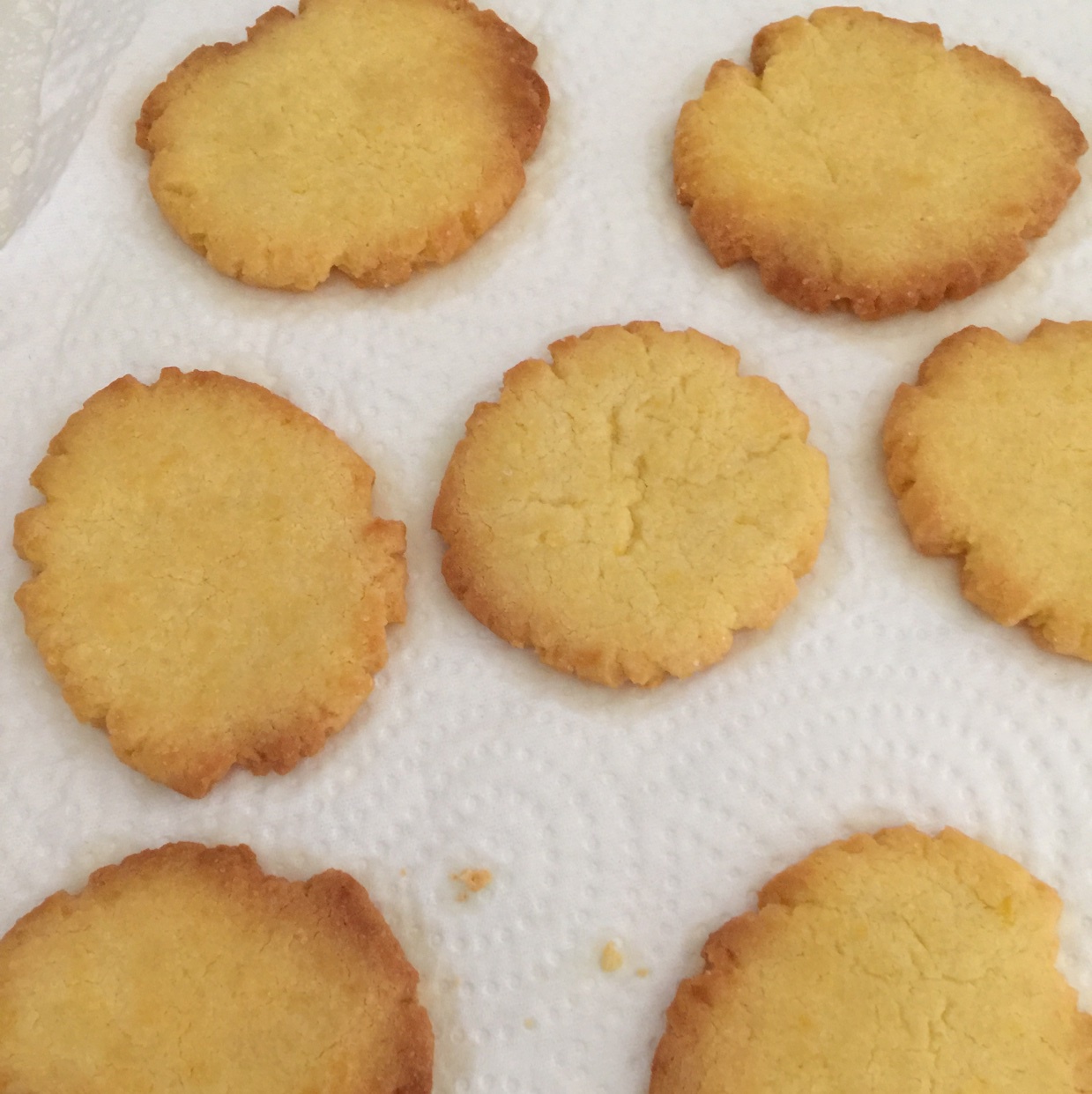 油酥饼干（君之版）