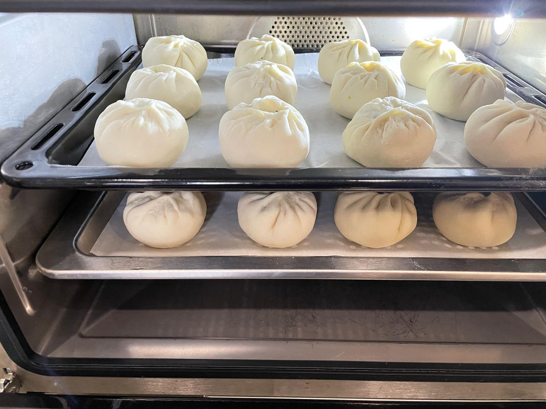 一次发酵肉包子