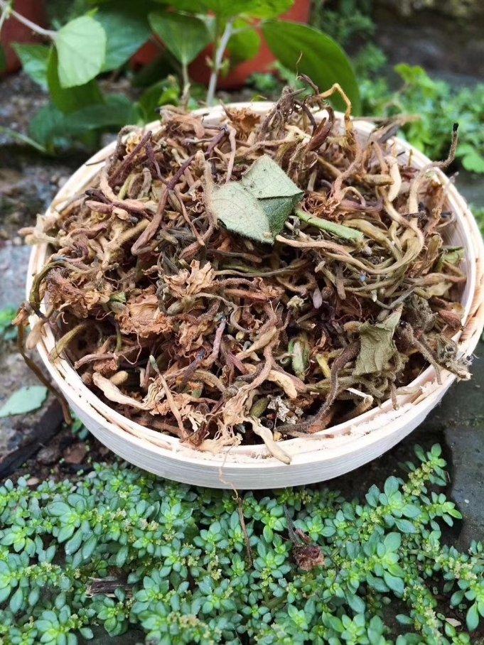 金银花茶