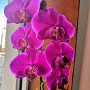 乐在其中_雯涵妈妈