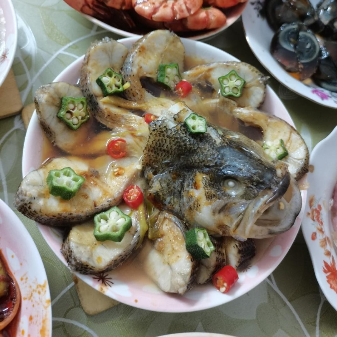 孔雀开屏鱼