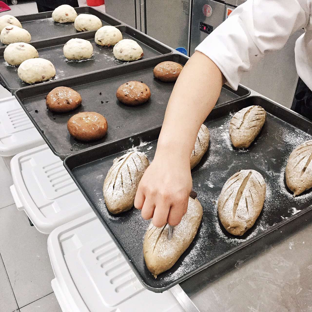 zanthe做的学徒面包师