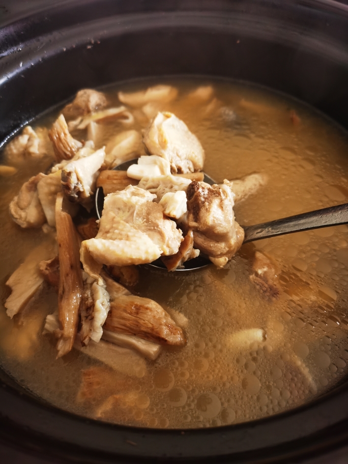 鲜鸡枞炖鸡汤的做法