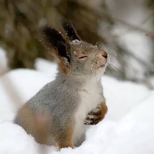 嘿我不懂的厨房