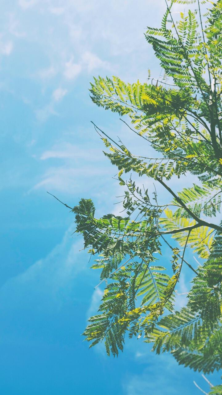 七磅的翅膀05