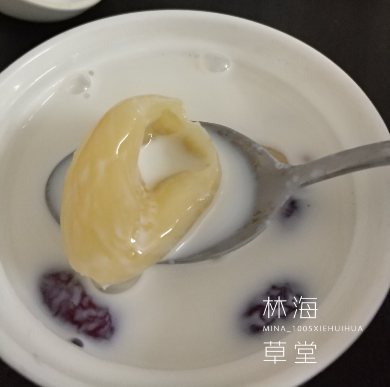 牛奶红枣炖花胶的做法