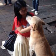 火星嗜睡喵星人灬氡氡