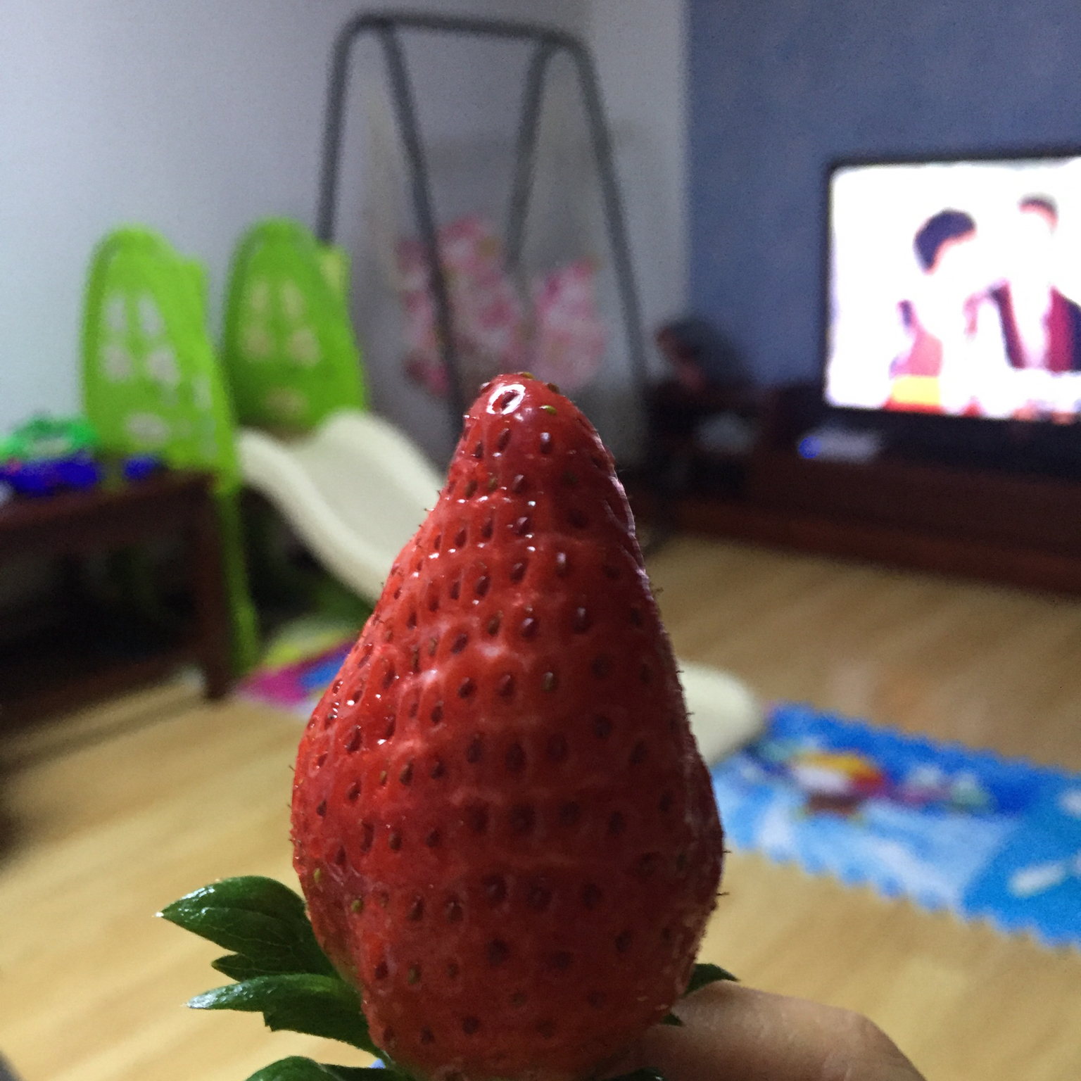 今冬第一颗草莓
