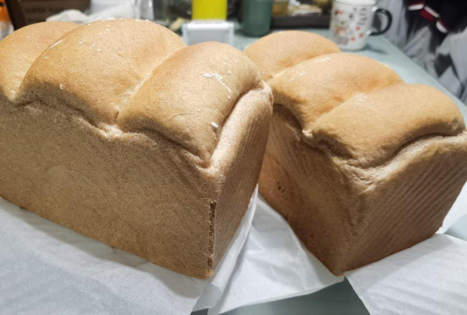 🍞全麦吐司直接法 （新良全麦面包粉）