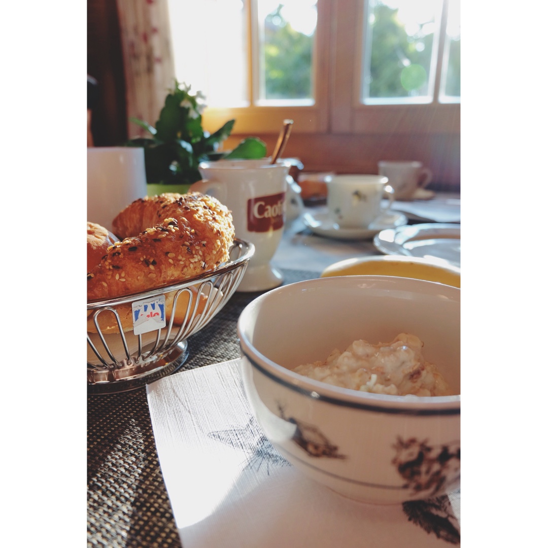 桜の食